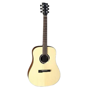 VGS - Belle Rose BR-10