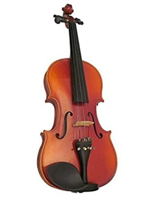 Violon Pearl River MV208 4/4
