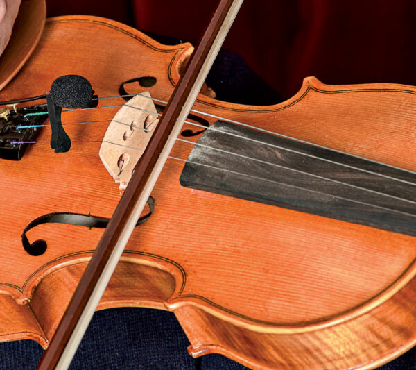 PRODIPE VL21 LANEN VIOLON - ALTO – Image 2